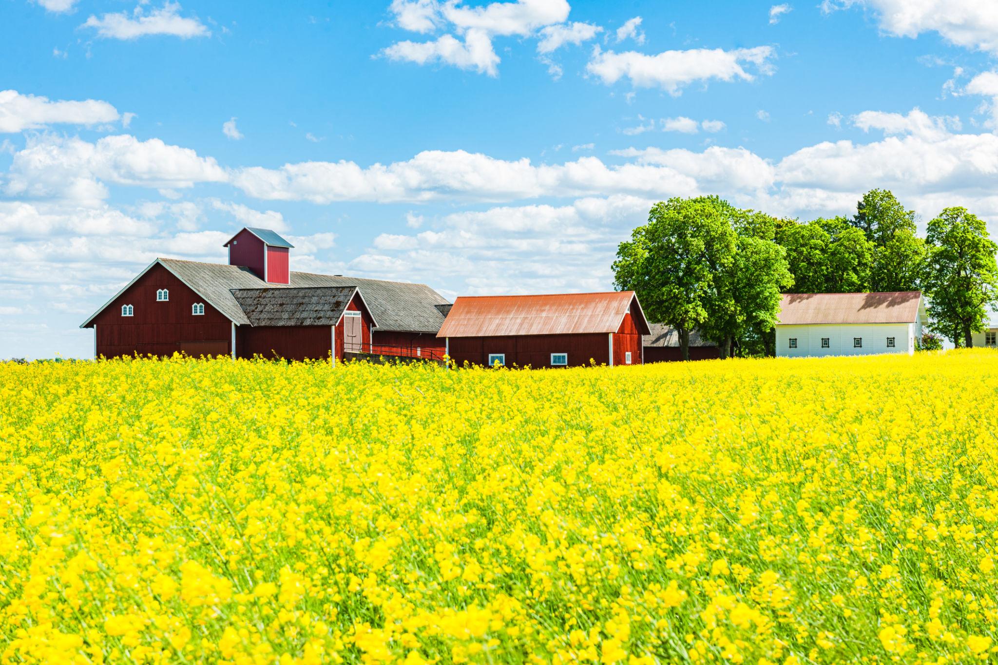 Haus in Skåne län kaufen 