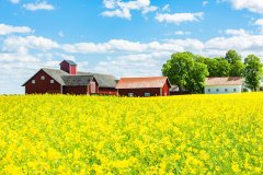 Haus in Skåne län kaufen 