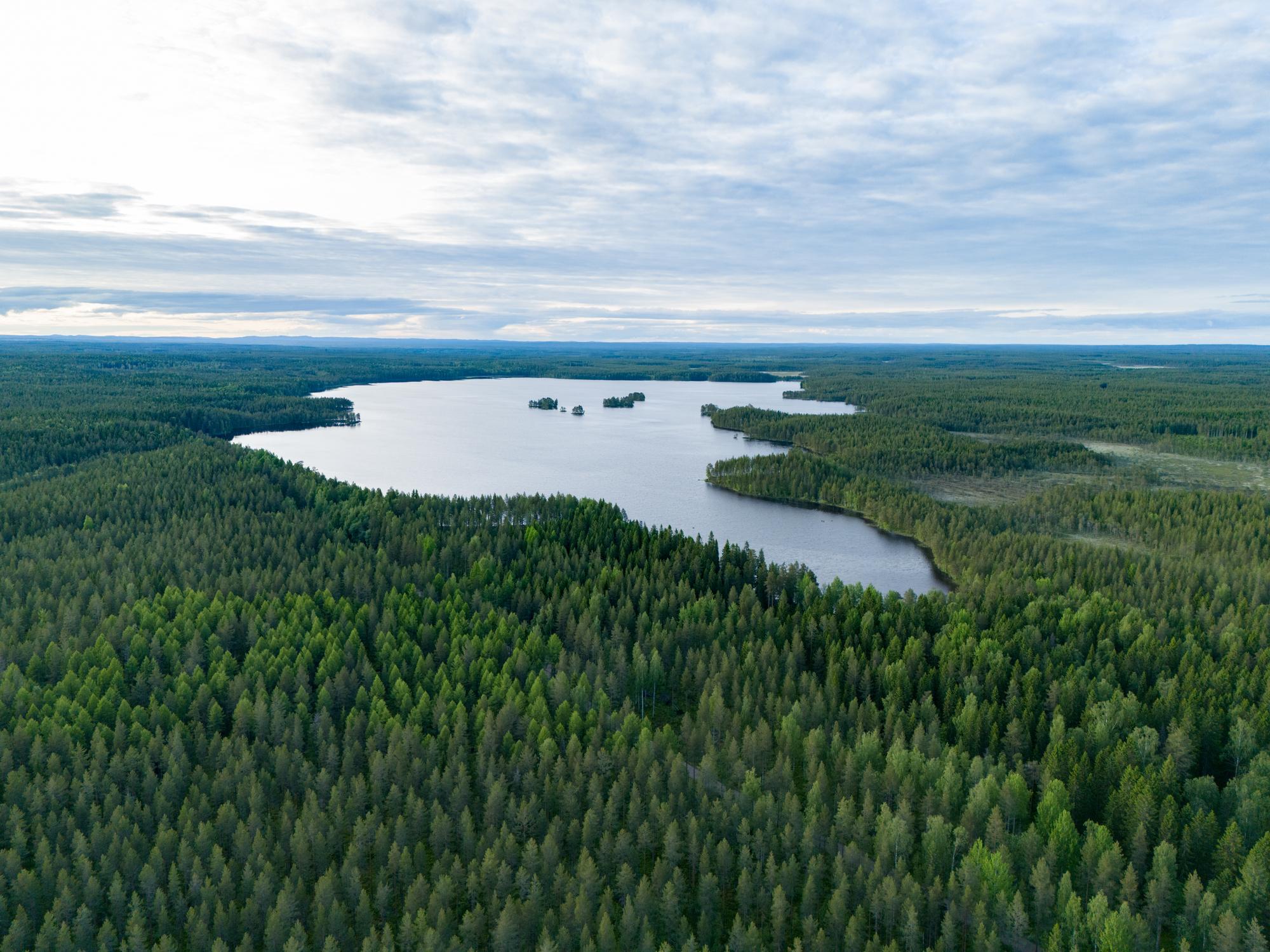 Haus in Västerbottens län kaufen